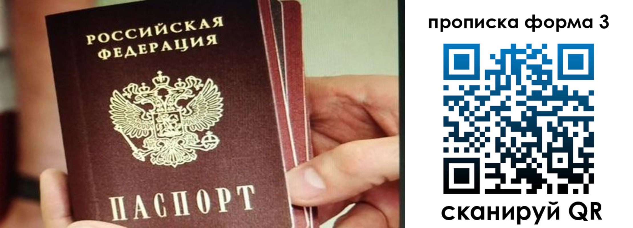 прописка законно в Порхове